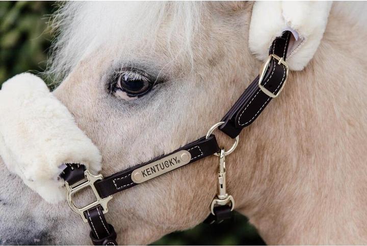 Produktbild Kentucky Horsewear Pony Lederhalfter