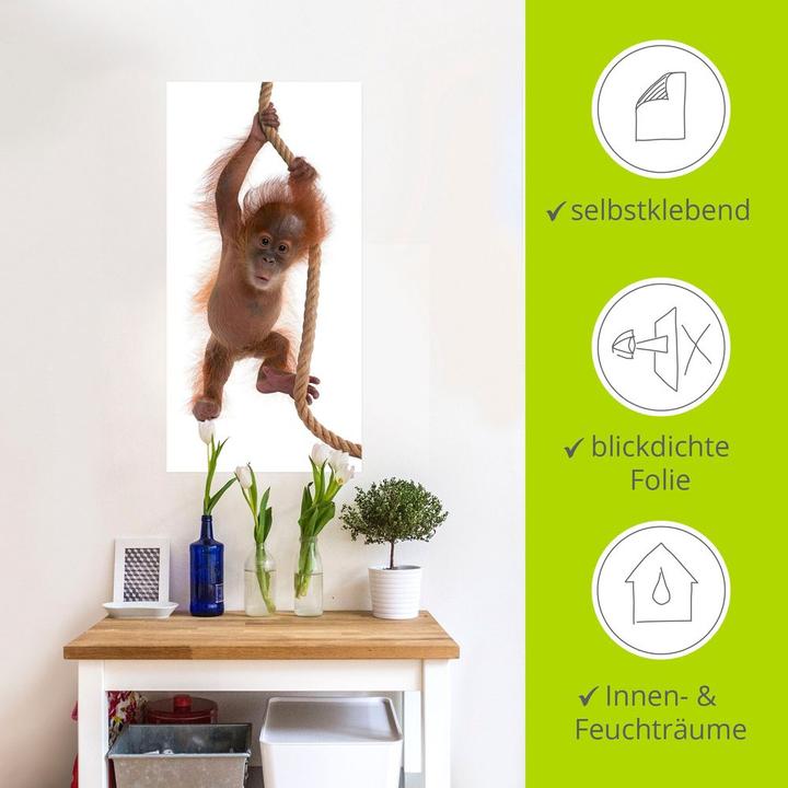 Produktbild Artland Baby Orang Utan hängt am Seil I T5RI (20 x 40 cm)