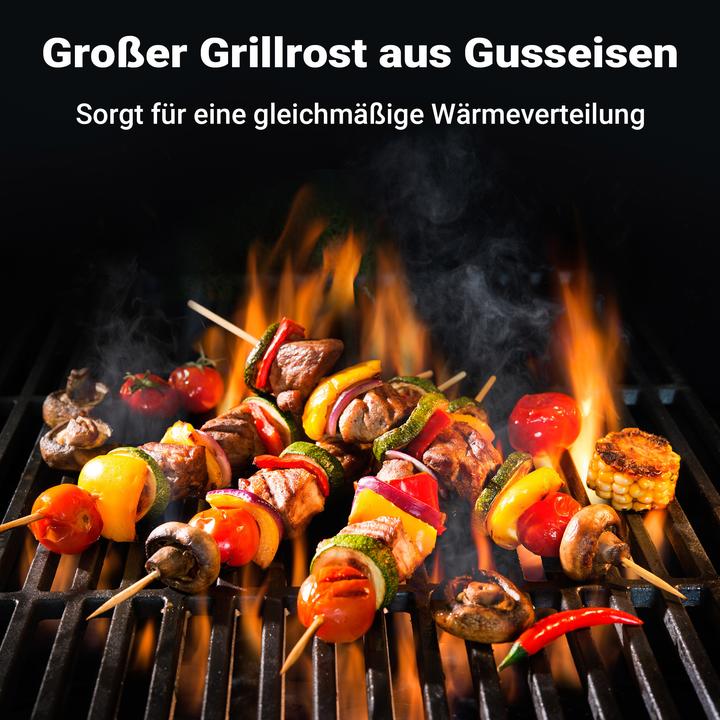 Image du produit Wiltec Gusseisen Grillrost 30x44,5cm Grillgitter Holzkohlegrill Gasgrill BBQ
