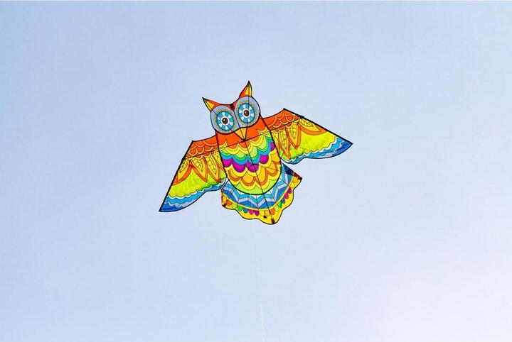 Produktbild Invento Drachen Jazzy Owl Kite 145x85 cm, ab 5 Jahren, inkl. Spule mit Schnur 40 m