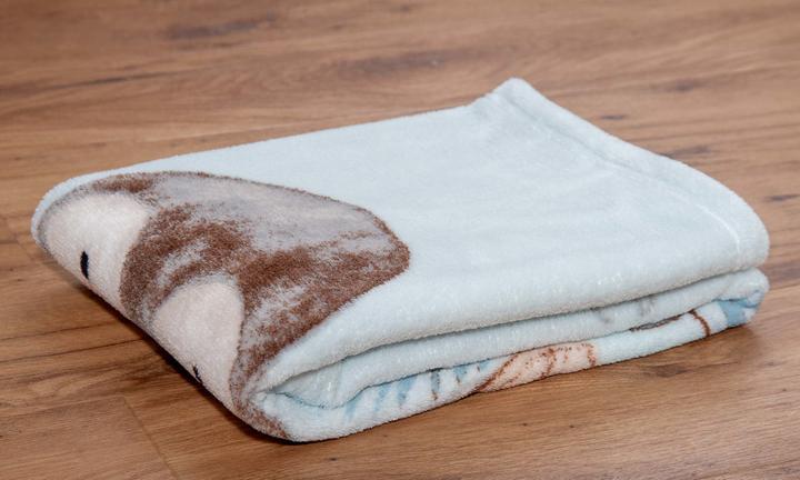 Actual product image Babybest Penguin Microfibre Fluffy Blanket (75 x 100 cm)