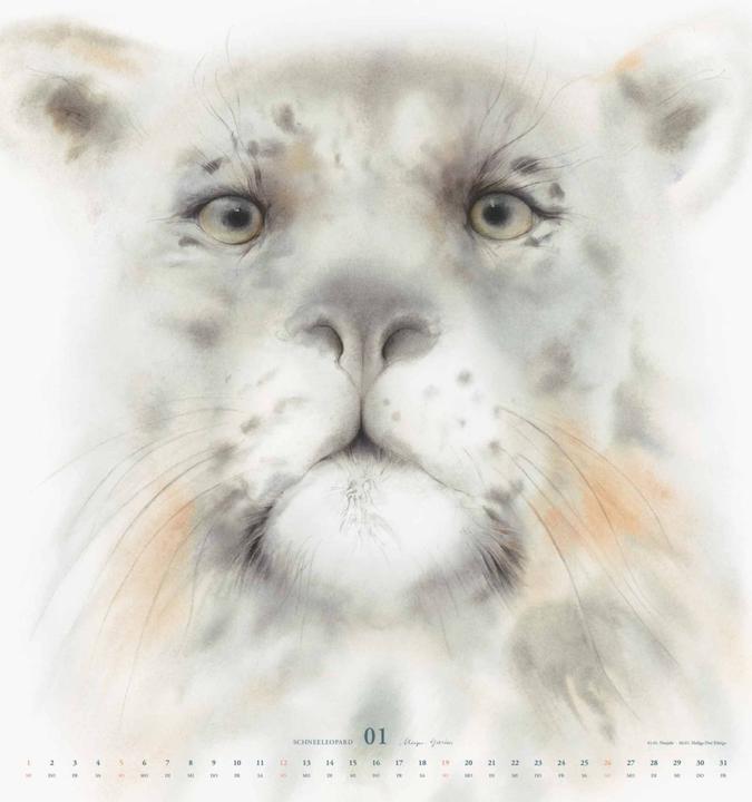 Actual product image 100 years Klaus Meyer-Gaster's anniversary (45 x 48 cm, German)