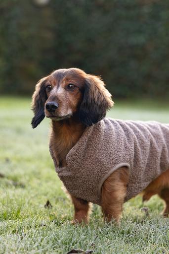 Image du produit Designed by Lotte Pull pour chien Madeleine (XL, Pull-over pour chien)