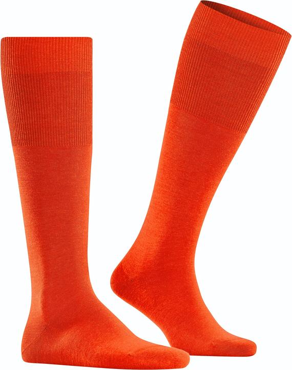 Immagine prodotto Falke Airport KH (Confezione singola, 39 - 40)