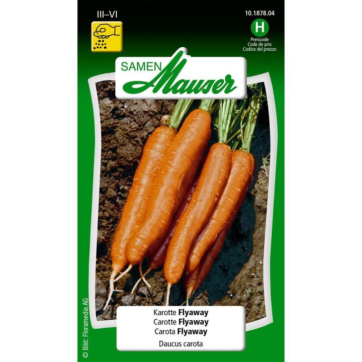 Image du produit Samen Mauser La carotte s'envole (Graines de légumes)