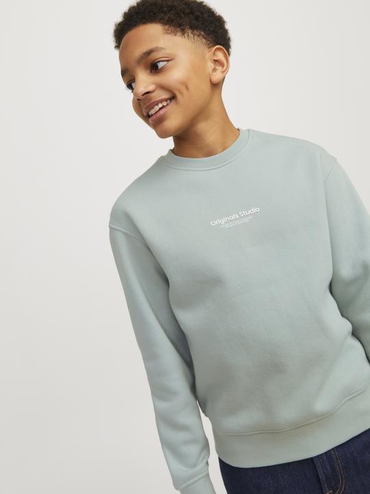 Immagine prodotto Jack & Jones Jorvesterbro Sweat Crew Neck Bn Mni (110)