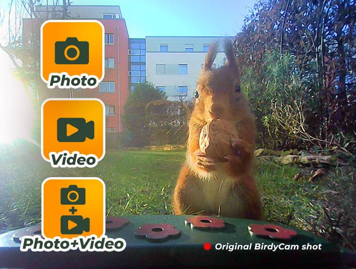 Actual product image Easypix BirdyCam
