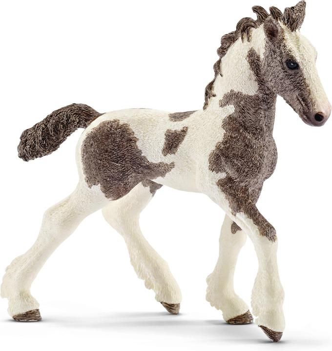 Produktbild Schleich Tinker Fohlen