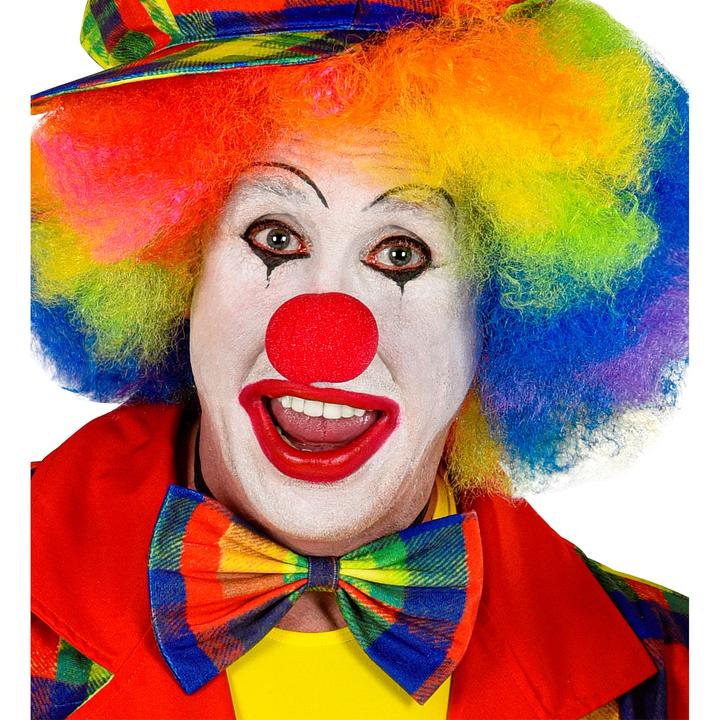 Produktbild Widmann Clown Fliege bunt
