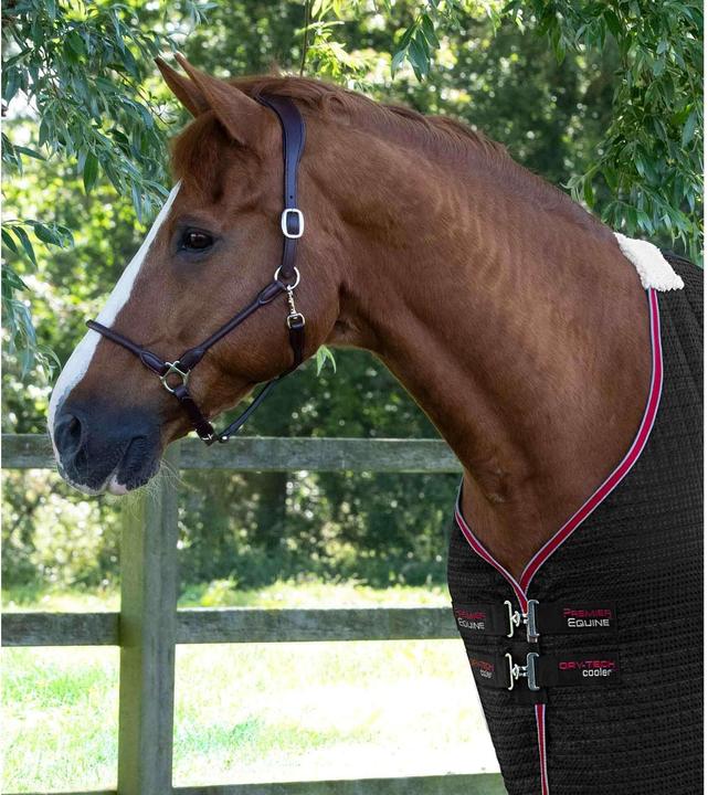 Produktbild Premier Equine Dry-Tech (191 cm)