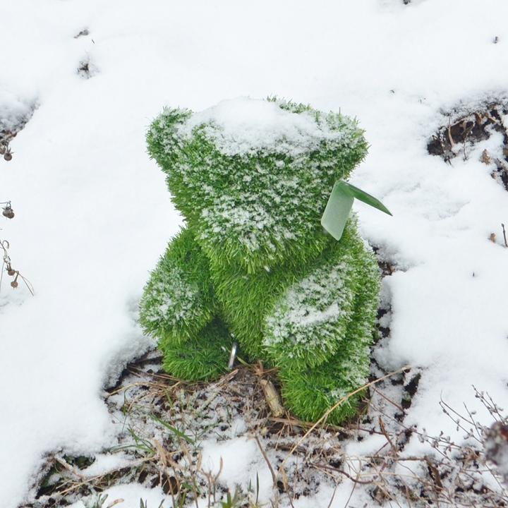Produktbild Colibri Dekofigur Kunstrasen Bär Grün
