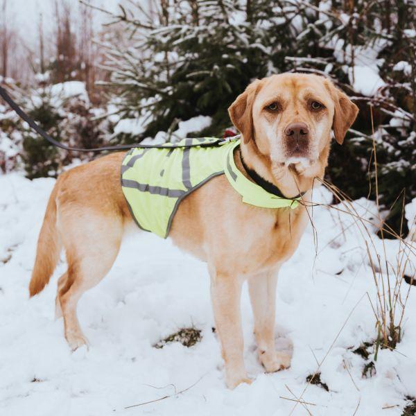 Produktbild Hunter Warnweste reflektierend (L, Hundemantel)
