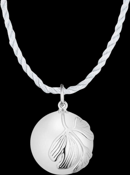 Produktbild Ilado Ginkgo Schwangerschaftskette (Versilbertes Messing)