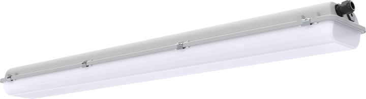 Pracht 5282114-GECKO L 1-21