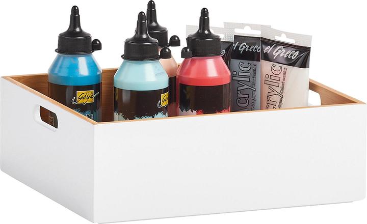 Immagine prodotto Zeller Present Scatole multiuso (30 x 27 x 10,5 cm, 5 l)