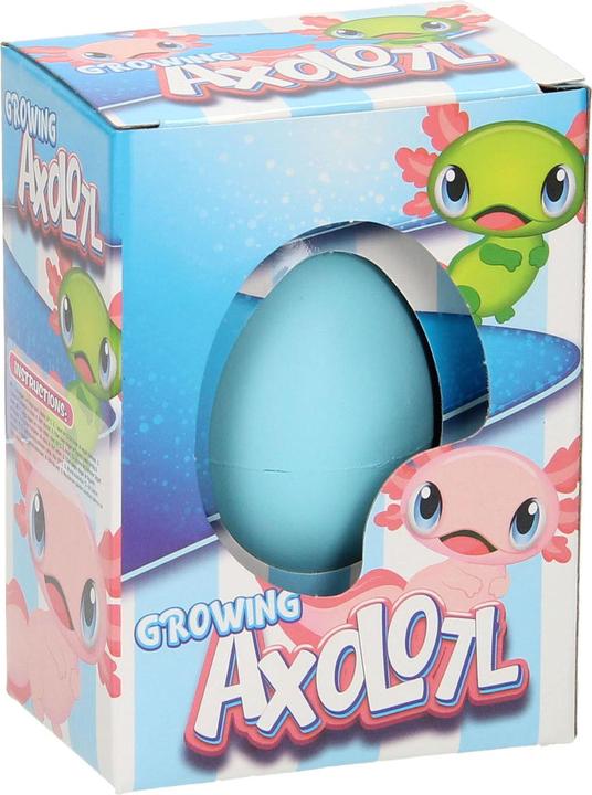 Actual product image Roost Ei mit wachsendem Axolotl