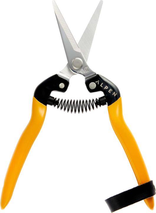 Actual product image Alpen Swiss Tools Alpen RIGI 300 secateurs