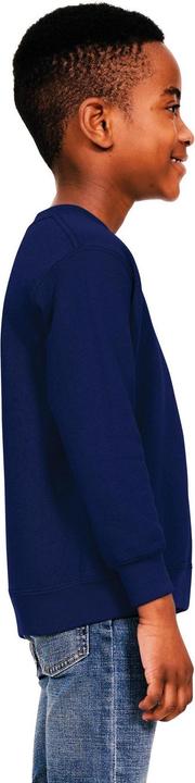 Image du produit Universal Textiles - Sweat - Enfant (152, 158)