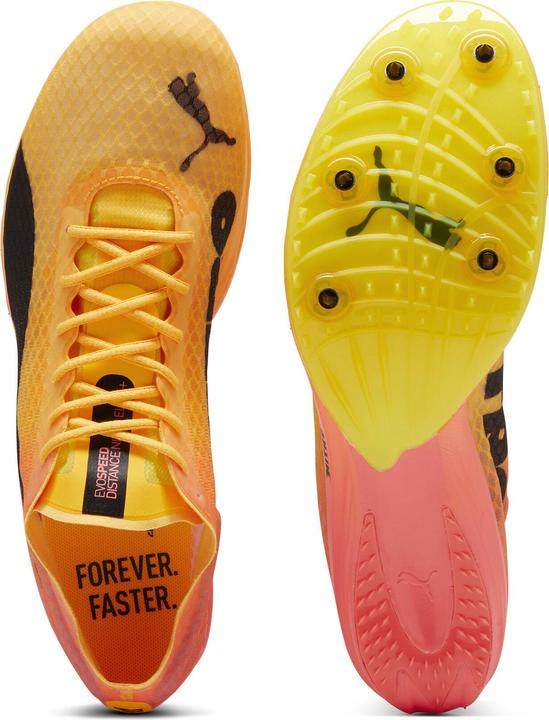 Produktbild Puma evoSPEED Distance Nitro Elite+ 4 (47)