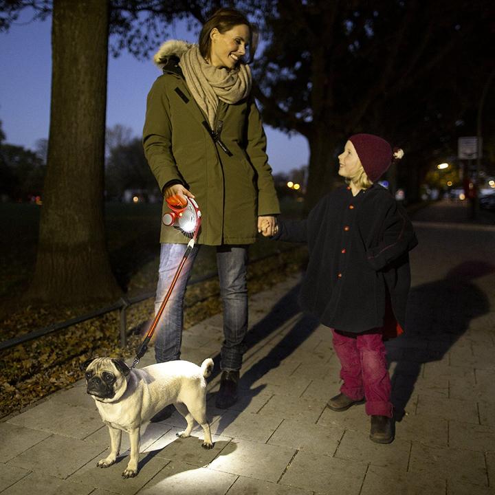 Produktbild Flexi Flash Belt (S, M, Hund, Spazieren)