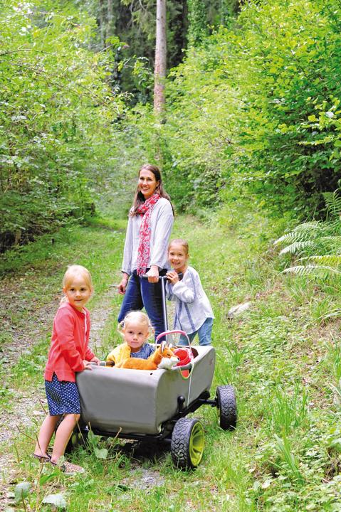 Image du produit Hauck Forest
