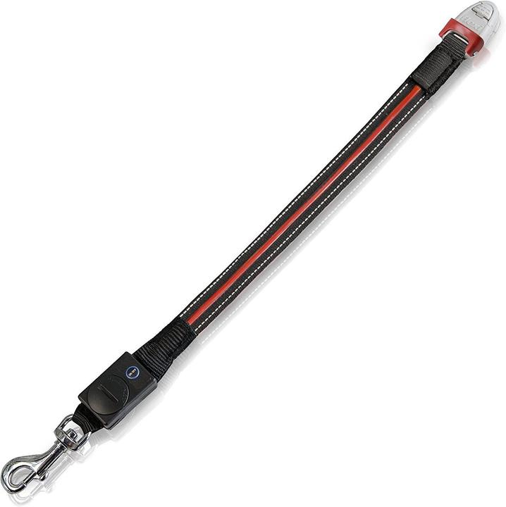 Produktbild Flexi Flash Belt (S, M, Hund, Spazieren)