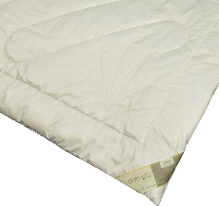 Produktbild Traumschlaf Bio Hanf (1800 g, 200 x 220 cm)