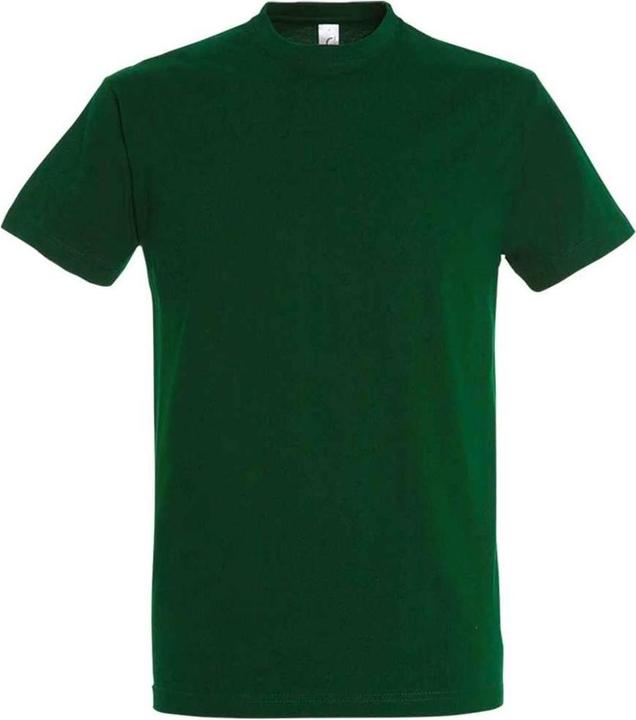 verde bottiglia