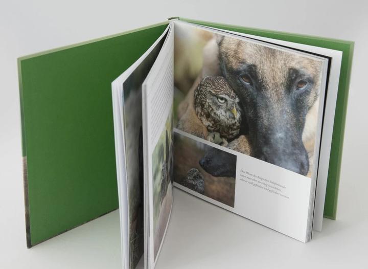 Produktbild Wo die Liebe hinfliegt (Deutsch, Tanja Brandt, 2016)