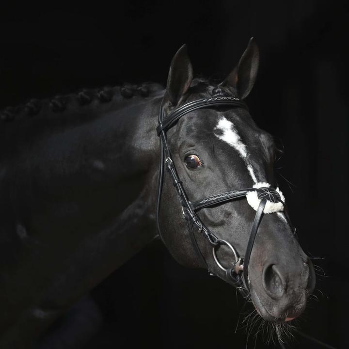Actual product image Kerbl Snaffle bridle Cancun black, pony