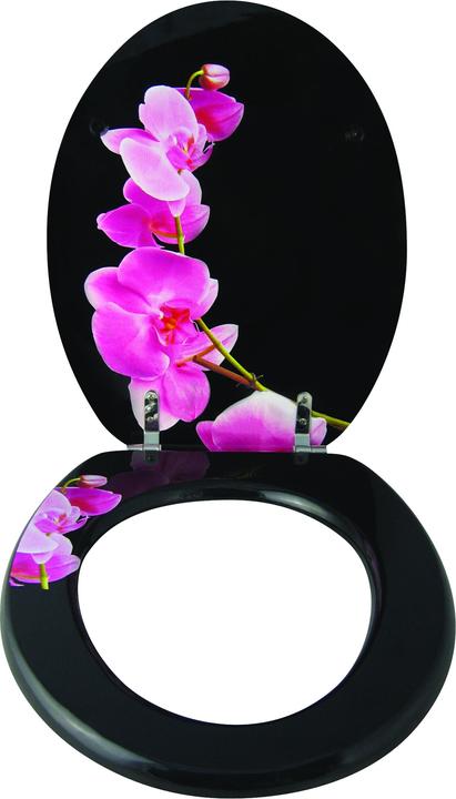 Immagine prodotto MSV Lanyu