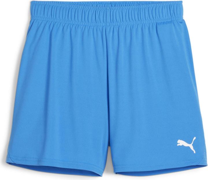 Puma teamGOAL Handball Shorts W