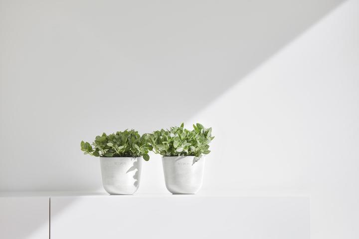 Immagine prodotto Ecopots Oslo Mini (19 cm)