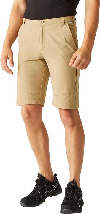 Actual product image Regatta Mens Highton Walking Shorts (44 D)