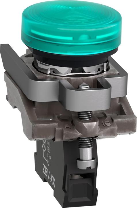 Image du produit Schneider Electric Voyant lumineux 22mm vert