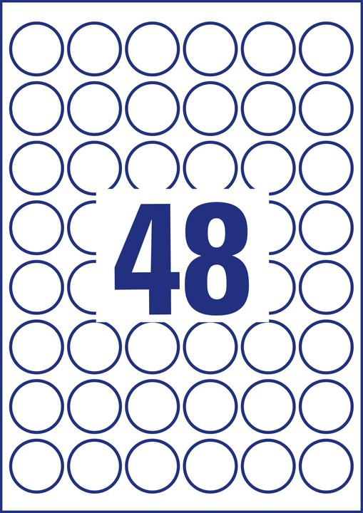 Actual product image Avery Identification labels