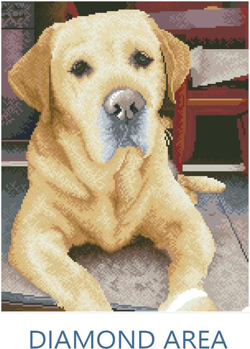 Produktbild Diamond Dotz Squares Original Diamond Painting Set Labrador "KING“ 40 x 50 cm, 28.200 quadratische