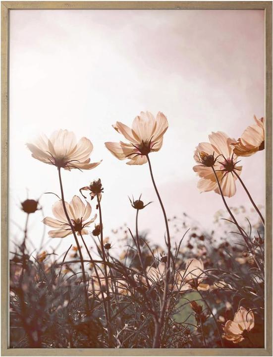 Produktbild Trenddeko Wilde Wiese (60 x 80 cm)