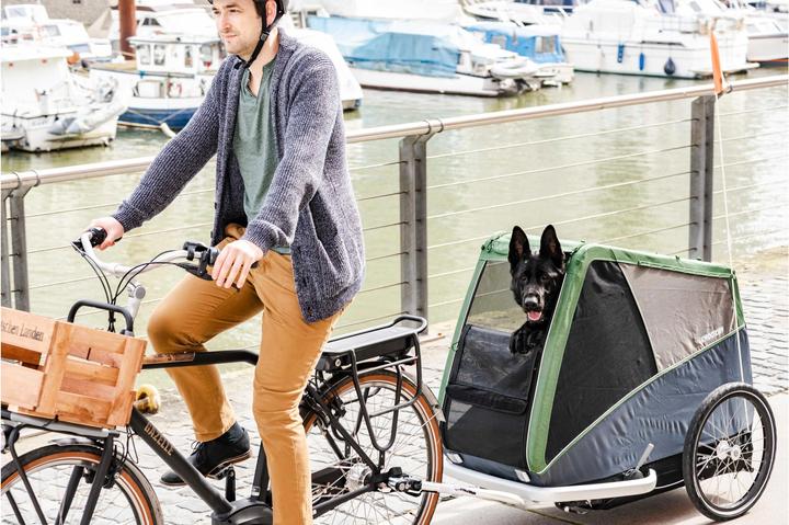 Image du produit Croozer Chien XXL