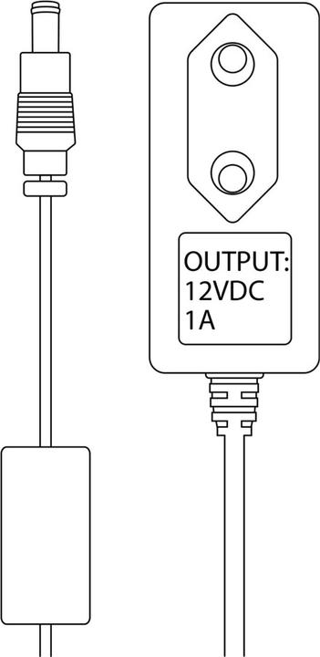 Zyxel Alimentation électrique 12VDC, 1A (Alimentation électrique)