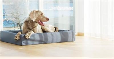 Produktbild Bia Kunstleer Hoes Hondenmand Grijs (Hund)