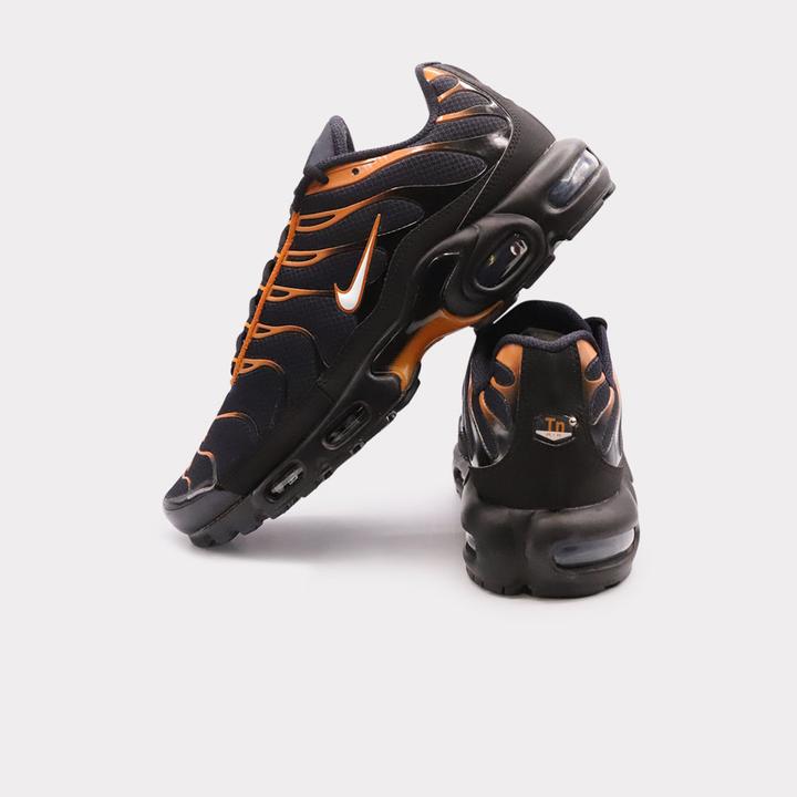 Image du produit Nike Air Max Plus (42)