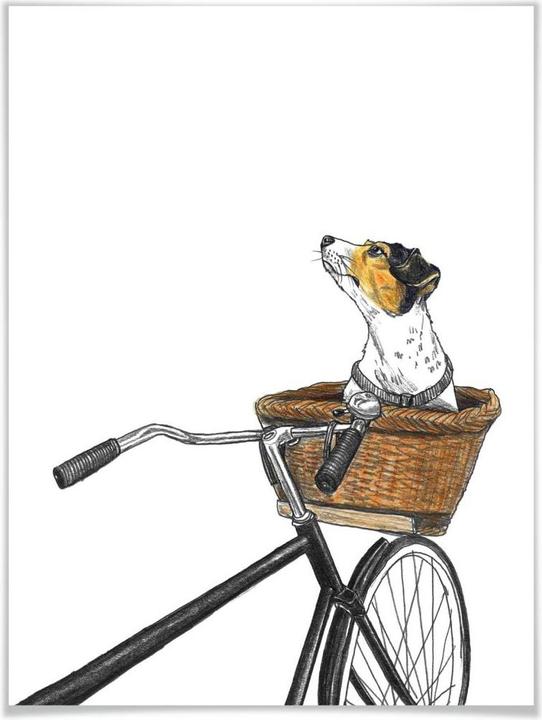 Produktbild Trenddeko Hund im Korb (40 x 50 cm)