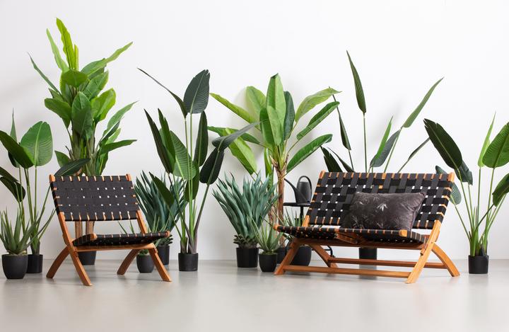 Produktbild Woood Strelitzia (63 cm)