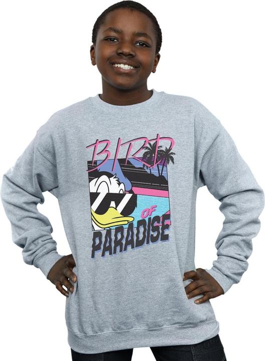 Produktbild Disney Donald Duck Bird Of Paradise Sweatshirt Jungen (152, 158)