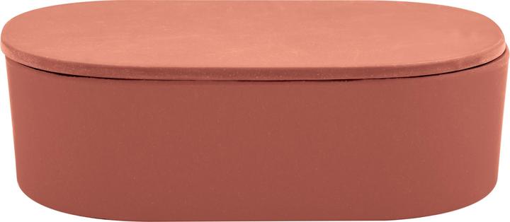 spirella Aufbewahrungsbox Takeo Terracotta