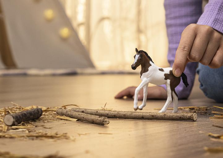 Image du produit Schleich Poulain Paint Horse