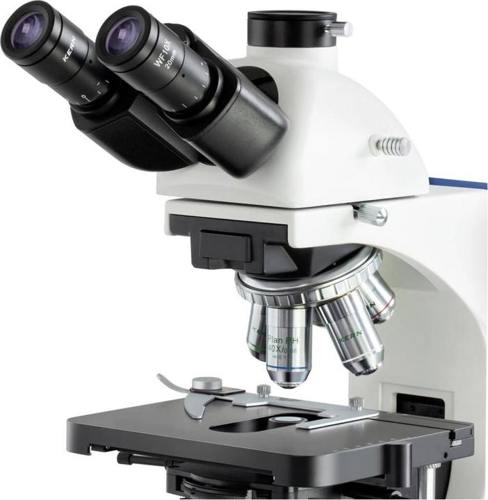 Immagine prodotto Kern OBN 159 - Microscopio trinoculare a contrasto di fase