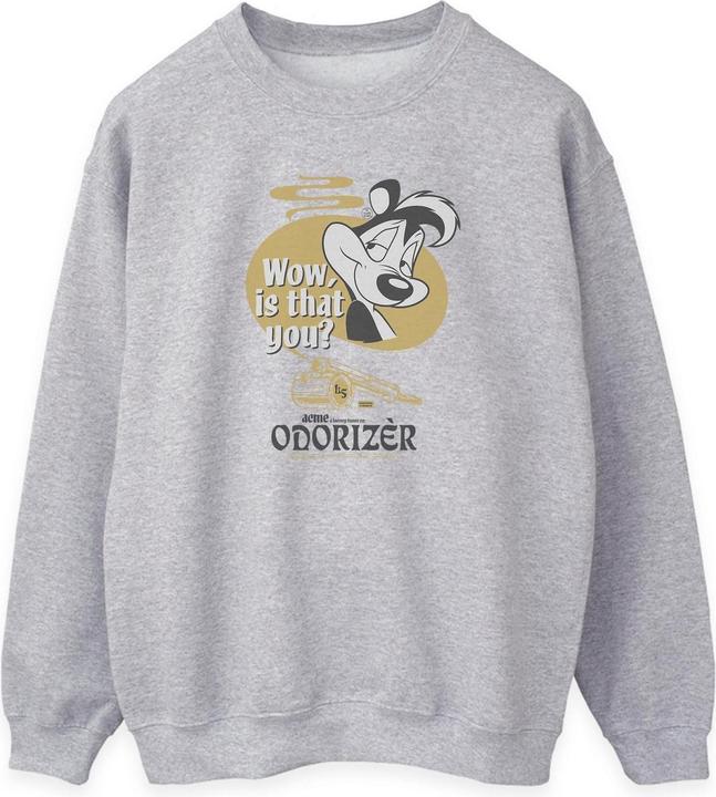 Looney Tunes Odorizer Sweatshirt