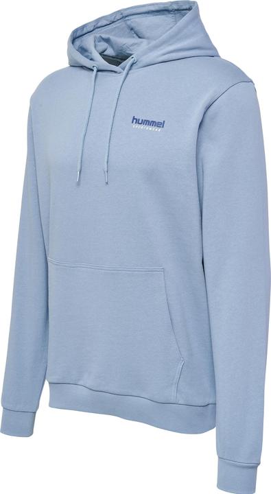 Image du produit hummel hmlLGC GABE HOODIE (L)